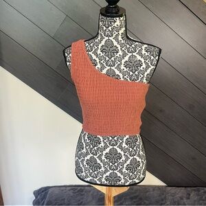 Vici Terracotta One-Shoulder Smock Cropped Top